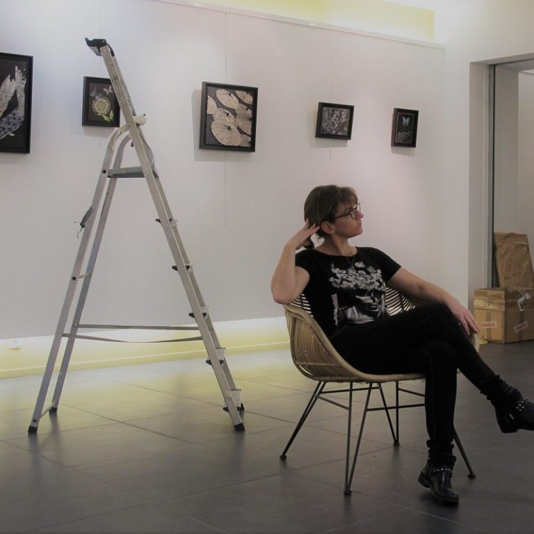 Installation de l'exposition